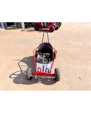 49cc Kids Go Kart  Mini 2-Stroke Buggy Off Road  Safety Belt Fun Ride
