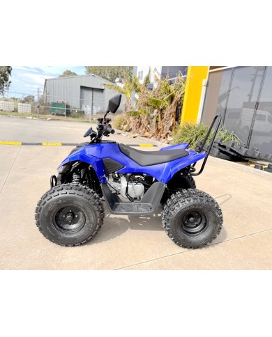 ATV, quad bike, buggy, four-wheeler, kids ATV, youth quad, off-road buggy, 110cc quad