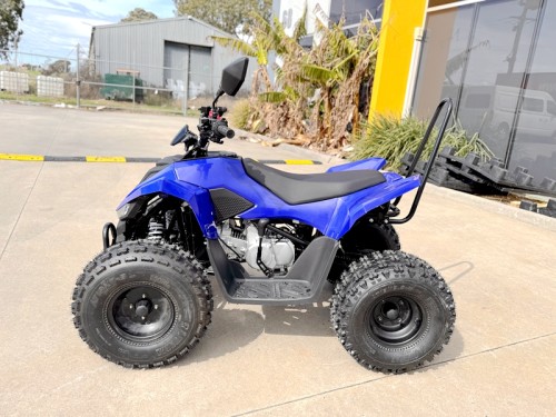 ATV, quad bike, buggy, four-wheeler, kids ATV, youth quad, off-road buggy, 110cc quad