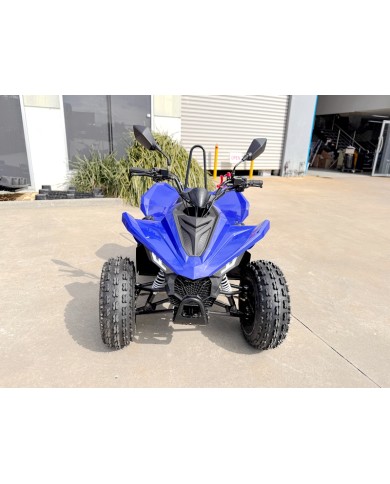 ATV, quad bike, buggy, four-wheeler, kids ATV, youth quad, off-road buggy, 110cc quad