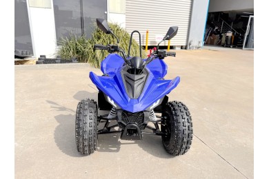 ATV, quad bike, buggy, four-wheeler, kids ATV, youth quad, off-road buggy, 110cc quad