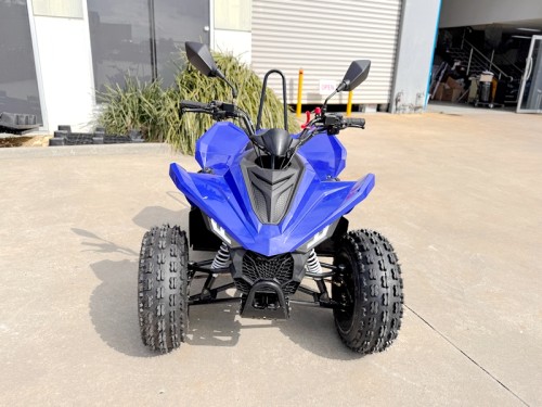 ATV, quad bike, buggy, four-wheeler, kids ATV, youth quad, off-road buggy, 110cc quad
