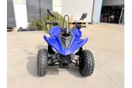 ATV, quad bike, buggy, four-wheeler, kids ATV, youth quad, off-road buggy, 110cc quad