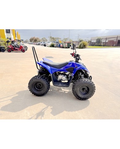 ATV, quad bike, buggy, four-wheeler, kids ATV, youth quad, off-road buggy, 110cc quad