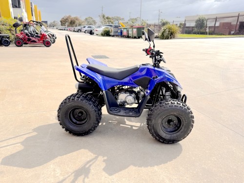 ATV, quad bike, buggy, four-wheeler, kids ATV, youth quad, off-road buggy, 110cc quad