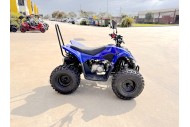 ATV, quad bike, buggy, four-wheeler, kids ATV, youth quad, off-road buggy, 110cc quad