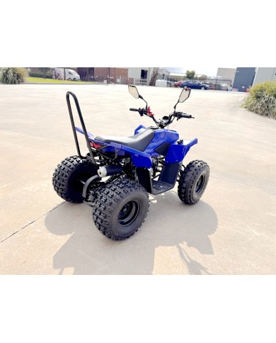 ATV, quad bike, buggy, four-wheeler, kids ATV, youth quad, off-road buggy, 110cc quad