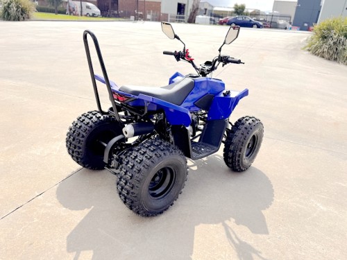 ATV, quad bike, buggy, four-wheeler, kids ATV, youth quad, off-road buggy, 110cc quad