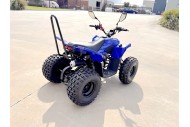 ATV, quad bike, buggy, four-wheeler, kids ATV, youth quad, off-road buggy, 110cc quad