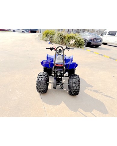 ATV, quad bike, buggy, four-wheeler, kids ATV, youth quad, off-road buggy, 110cc quad