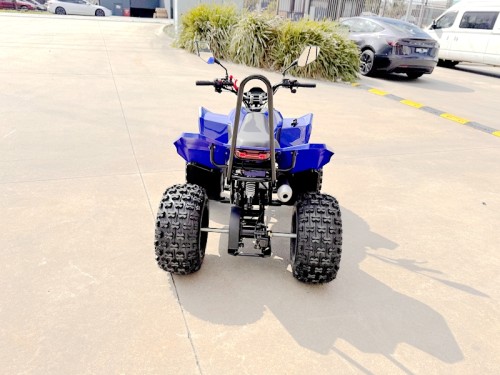 ATV, quad bike, buggy, four-wheeler, kids ATV, youth quad, off-road buggy, 110cc quad