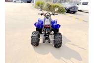 ATV, quad bike, buggy, four-wheeler, kids ATV, youth quad, off-road buggy, 110cc quad