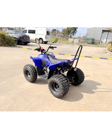 ATV, quad bike, buggy, four-wheeler, kids ATV, youth quad, off-road buggy, 110cc quad