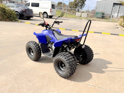 ATV, quad bike, buggy, four-wheeler, kids ATV, youth quad, off-road buggy, 110cc quad