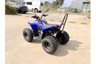 ATV, quad bike, buggy, four-wheeler, kids ATV, youth quad, off-road buggy, 110cc quad