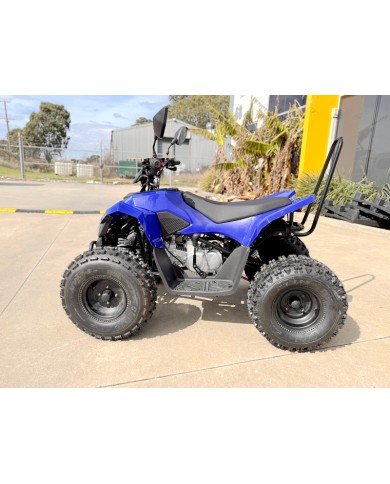 ATV, quad bike, buggy, four-wheeler, kids ATV, youth quad, off-road buggy, 110cc quad