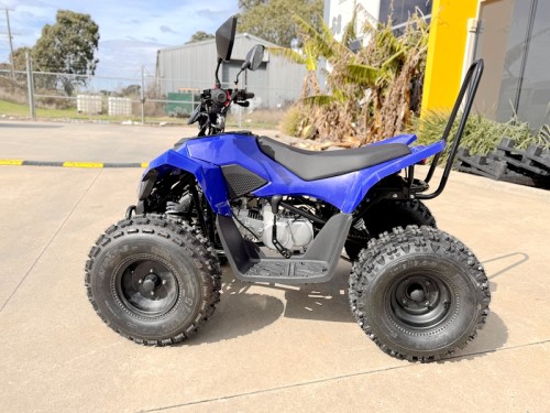 ATV, quad bike, buggy, four-wheeler, kids ATV, youth quad, off-road buggy, 110cc quad