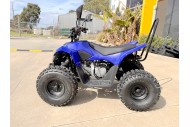 ATV, quad bike, buggy, four-wheeler, kids ATV, youth quad, off-road buggy, 110cc quad