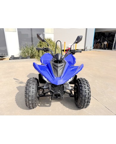 ATV, quad bike, buggy, four-wheeler, kids ATV, youth quad, off-road buggy, 110cc quad