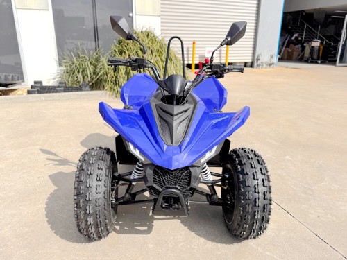 ATV, quad bike, buggy, four-wheeler, kids ATV, youth quad, off-road buggy, 110cc quad