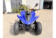 ATV, quad bike, buggy, four-wheeler, kids ATV, youth quad, off-road buggy, 110cc quad