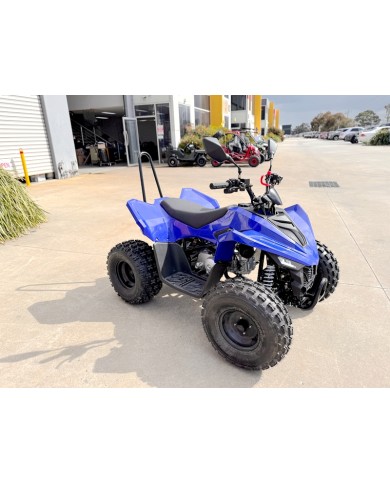ATV, quad bike, buggy, four-wheeler, kids ATV, youth quad, off-road buggy, 110cc quad