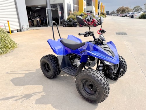ATV, quad bike, buggy, four-wheeler, kids ATV, youth quad, off-road buggy, 110cc quad