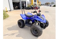 ATV, quad bike, buggy, four-wheeler, kids ATV, youth quad, off-road buggy, 110cc quad