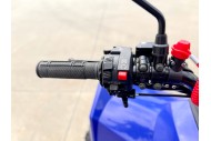 ATV, quad bike, buggy, four-wheeler, kids ATV, youth quad, off-road buggy, 110cc quad