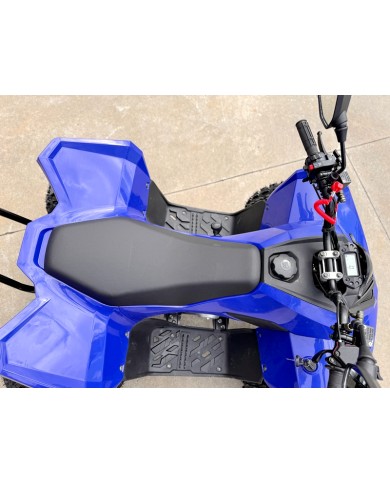 ATV, quad bike, buggy, four-wheeler, kids ATV, youth quad, off-road buggy, 110cc quad