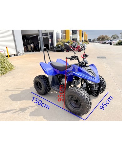 ATV, quad bike, buggy, four-wheeler, kids ATV, youth quad, off-road buggy, 110cc quad