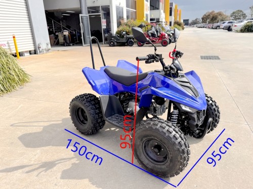 ATV, quad bike, buggy, four-wheeler, kids ATV, youth quad, off-road buggy, 110cc quad