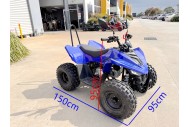 ATV, quad bike, buggy, four-wheeler, kids ATV, youth quad, off-road buggy, 110cc quad