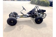 Torque270 Go Kart 9hp 270cc Teen Adult Off Road Buggy Torque Converter e-starter