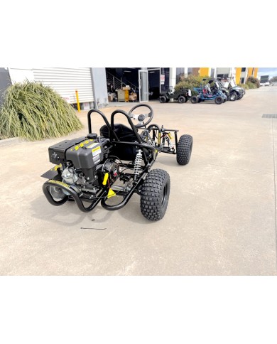 Torque270 Go Kart 9hp 270cc Teen Adult Off Road Buggy Torque Converter e-starter