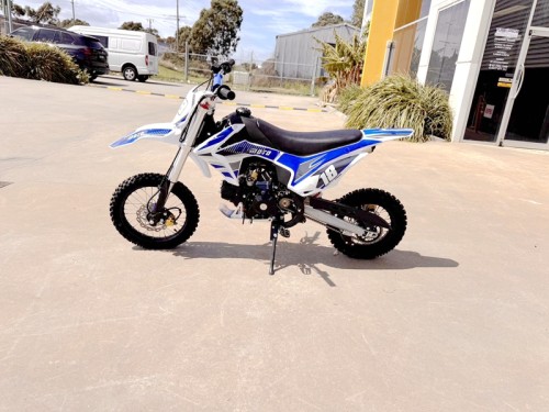 110cc dirt bike kids teens