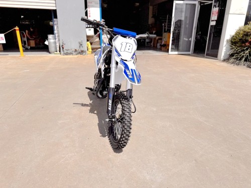 110cc dirt bike kids teens