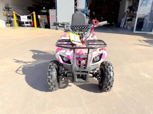 49CC FARM QUAD BIKE ATV BUGGY KIDS 4 WHEELER WILDFORC49 HUASHENG 2-STROKE PINK