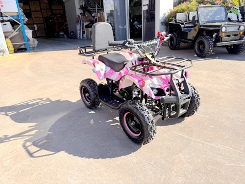 49CC FARM QUAD BIKE ATV BUGGY KIDS 4 WHEELER WILDFORC49 HUASHENG 2-STROKE PINK