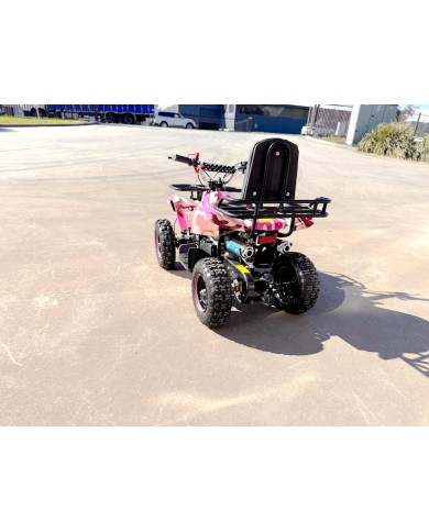 49CC FARM QUAD BIKE ATV BUGGY KIDS 4 WHEELER WILDFORC49 HUASHENG 2-STROKE PINK