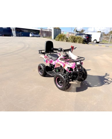 49CC FARM QUAD BIKE ATV BUGGY KIDS 4 WHEELER WILDFORC49 HUASHENG 2-STROKE PINK