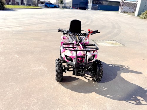 49CC FARM QUAD BIKE ATV BUGGY KIDS 4 WHEELER WILDFORC49 HUASHENG 2-STROKE PINK