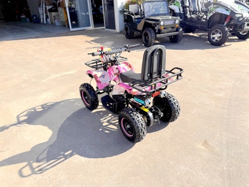 49CC FARM QUAD BIKE ATV BUGGY KIDS 4 WHEELER WILDFORC49 HUASHENG 2-STROKE PINK