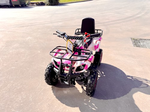 49CC FARM QUAD BIKE ATV BUGGY KIDS 4 WHEELER WILDFORC49 HUASHENG 2-STROKE PINK