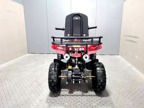 49cc Mini Farm Quad Bike for Kids in Red - MJ Motor