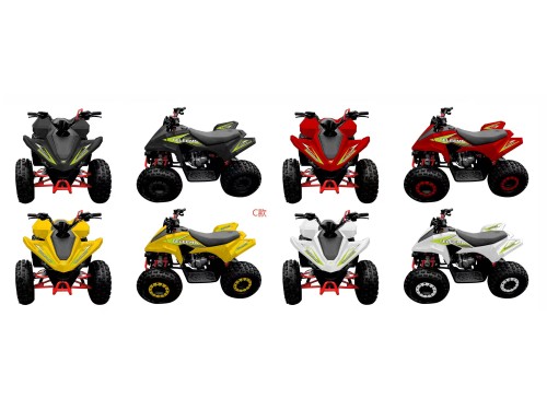 ATV, quad bike, buggy, four-wheeler, kids ATV, youth quad, off-road buggy, 110cc quad