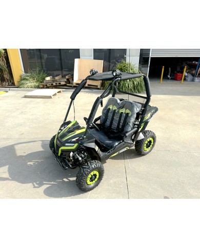 5.5HP 163CC BUGGY TWIN SEAT. FORZA 1, K1.