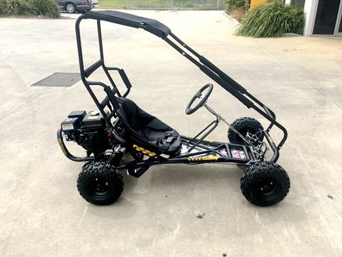 200cc 6.5HP Go Kart Wet Clutch Dune Buggy ATV Quad 4 Stroke Adult/Teen/Kid Sizes