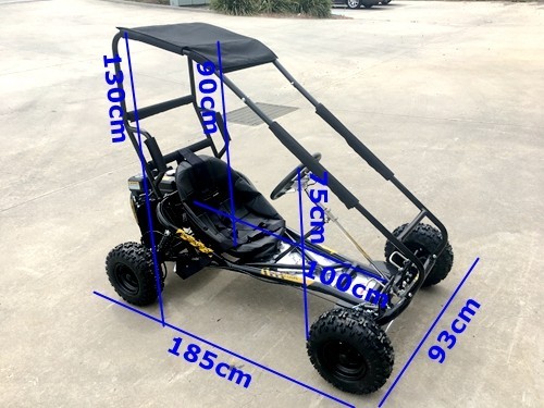 200cc 6.5HP Go Kart Wet Clutch Dune Buggy ATV Quad 4 Stroke Top Roll Cage